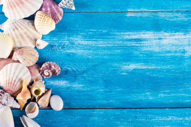 eski mavi ahşap kurullarında kabukları.