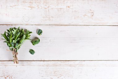 Bir demet taze nane. 