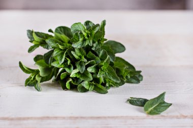 Bir demet taze nane. 