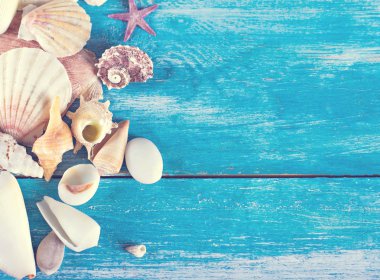 eski mavi ahşap kurullarında kabukları