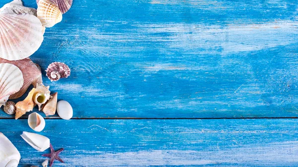 eski mavi ahşap kurullarında kabukları