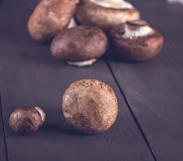 Frische Pilze mit Gewürzen — Stockfoto