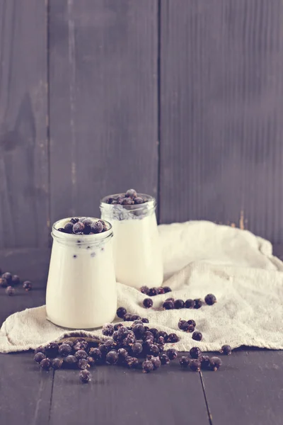 Yoghurt alami dengan kurrant hitam . — Stok Foto