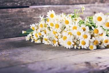 papatya, papatya buketi