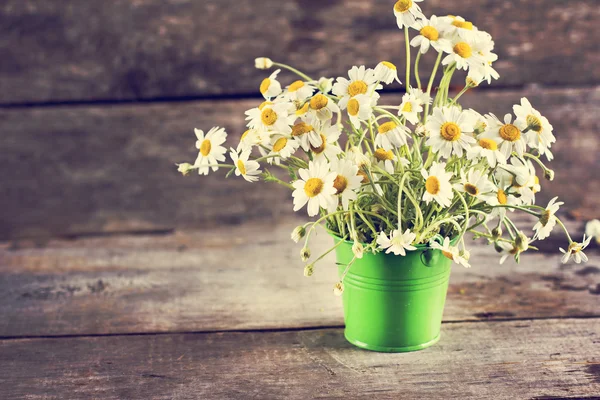 Camomille, bouquet de marguerites — Photo