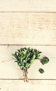 Bir demet taze nane.