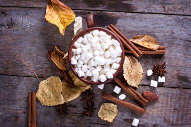 Şekerlemeli sıcak kakao.