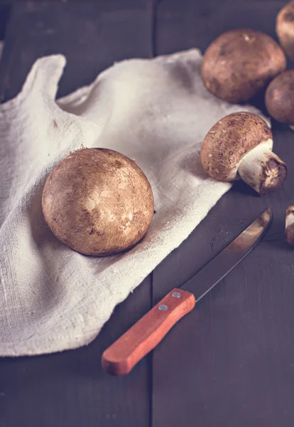 Frische Pilze auf einer schwarzen Tafel. — Stockfoto