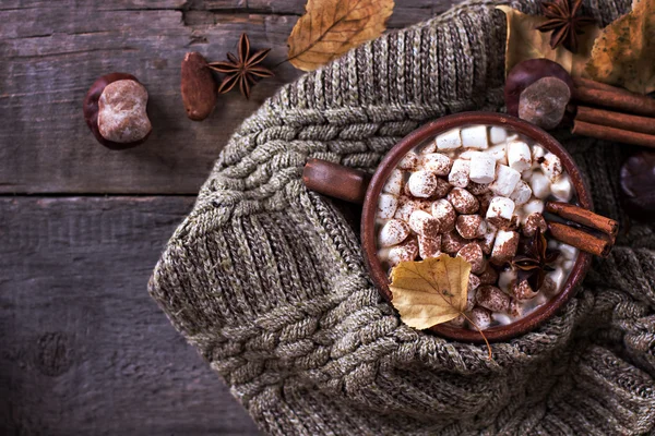 Horké kakao s marshmallows — Stock fotografie