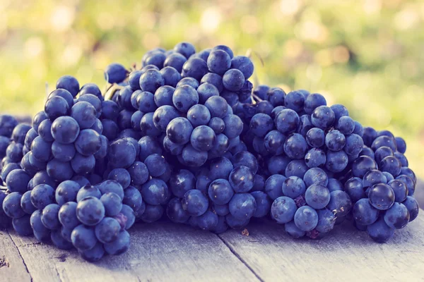Голубые виноградники на старом вудском фоне — стоковое фото