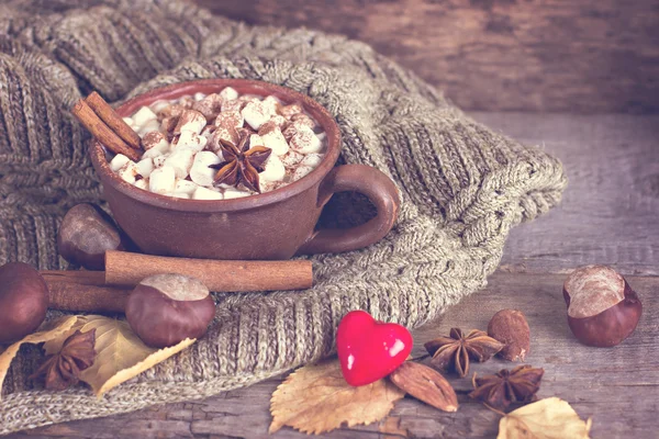 Hot cocoa with marshmallows — Stock Photo, Image
