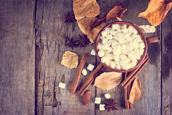 Cacau quente com marshmallows — Fotografia de Stock