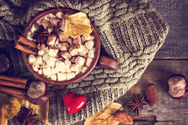 Horké kakao s marshmallows — Stock fotografie
