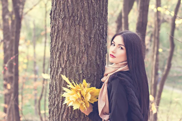 Beautiful young woman in autumn park — Stock Photo, Image