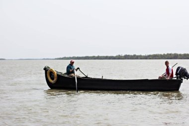 Tuna Nehri 'nin manzarası. Tuna Nehri.