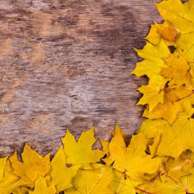 Ahşap arka planda sarı sonbahar yaprakları. Sonbahar yapraklarının çerçevesi. Sonbahar sarı yapraklı desenli eski ahşap arka plan.