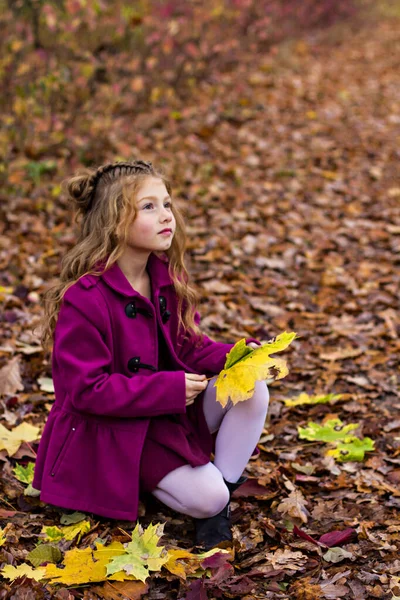 ピンクのコートを着た美しい小さなかわいいブロンドの女の子は 秋の紅葉と壁の近くに立っています 秋の散歩 秋の公園を散歩する子供 — ストック写真