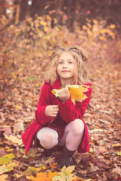 Όμορφη μικρή χαριτωμένη ξανθιά κοπέλα σε ένα ροζ παλτό στέκεται κοντά στον τοίχο με φθινοπωρινά κόκκινα φύλλα. — Φωτογραφία Αρχείου