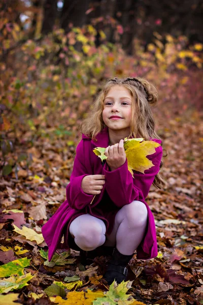 ピンクのコートを着た美しい小さなかわいいブロンドの女の子は 秋の紅葉と壁の近くに立っています 秋の散歩 秋の公園を散歩する子供 — ストック写真