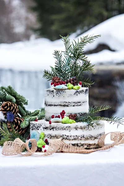Winter style wedding cake. Rustic style.  wedding in winter. Wedding decor, cake, glasses, champagne, plates. Rustic wedding in winter. cake