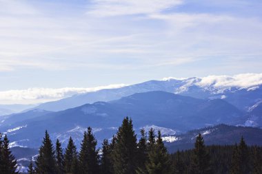 Kış dağları, Karpatlar, Ukrayna. Kayak merkezi Bukovel. Güneşli bir günde Karpat Dağları 'ndaki ladin ormanları arasında kayak yapan bir kayak merkezinin manzarası. 