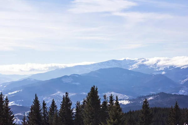 Winterbergen Karpaten Oekraïne Skigebied Bukovel Panorama Van Een Skigebied Met — Stockfoto