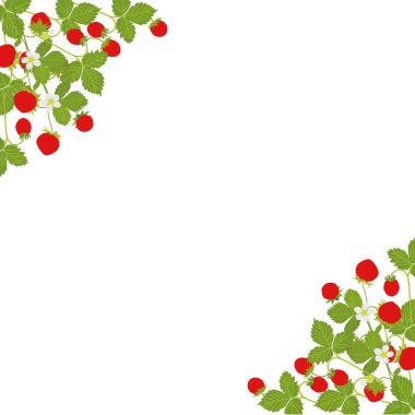 Köşe süsü arka planı. Çilekli, yabani çilekli. Vektör çizimi. Meyve suyu, çay, böğürtlen dolu fırın, çiftçi pazarı, bakkal, sağlık ürünleri için arka plan tasarımı. 