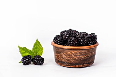 Blackberry beyaz arka planda izole edilmiş. Ayrı böğürtlenler. Beyaz arkaplanda yaprak olan böğürtlen meyveleri