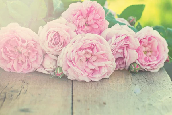 Pink rose on the old boards. Toned photo. Effect  to sunlight — Stock Photo, Image