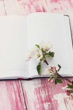 Çiçekli elma bir defter ile dal