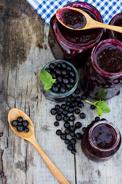 Черная смородина — стоковое фото