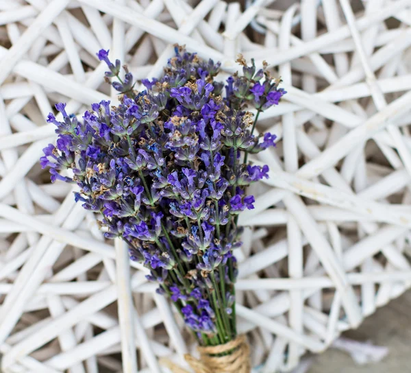 Bouquet di lavanda — Foto Stock