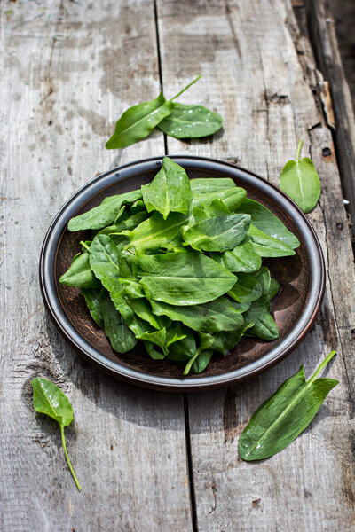 Sorrel leaves on a plate, the plate is on the old boards