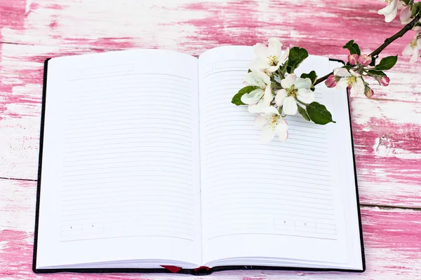 Os ramos de macieira florida com um caderno — Fotografia de Stock