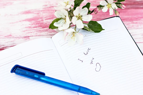 Os ramos de macieira florida com um caderno e caneta — Fotografia de Stock