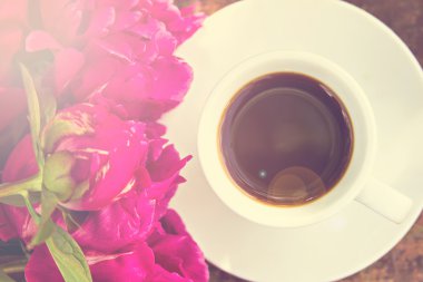 siyah kahve ve bordo Şakayık