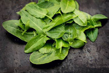 Taze kuzukulağı eski siyah masada bırakır