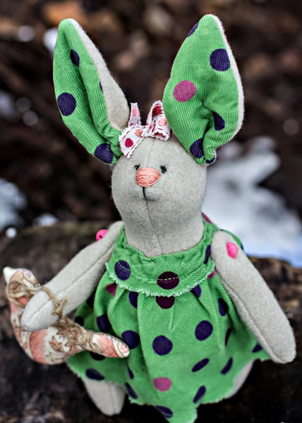 Stofftier - Hase sitzt auf einem alten Baum. — Stockfoto