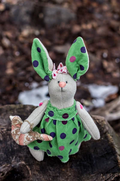 Stofftier - Hase sitzt auf einem alten Baum. — Stockfoto