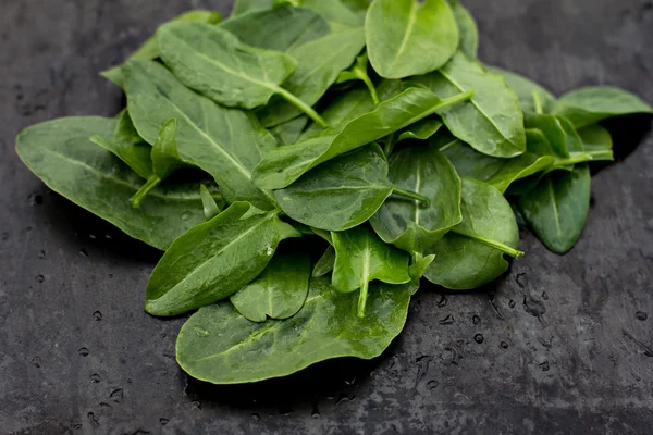 Frische Sauerampferblätter auf dem alten schwarzen Tisch — Stockfoto