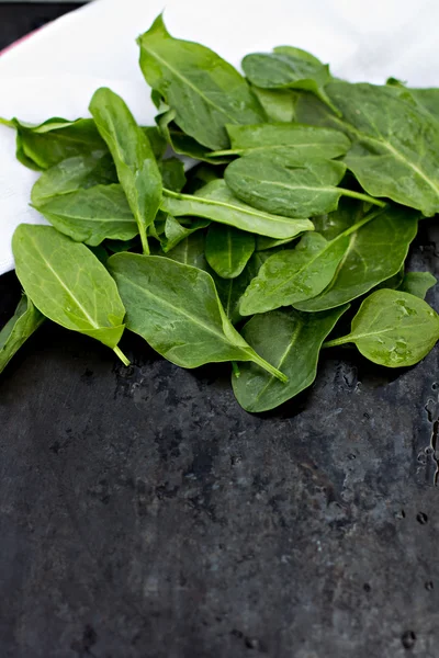 Fresh sorrel leaves  on the old black table — Stock Photo, Image