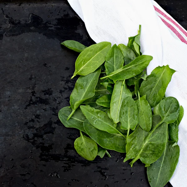 Foglie di acetosa fresche sul vecchio tavolo nero — Foto Stock