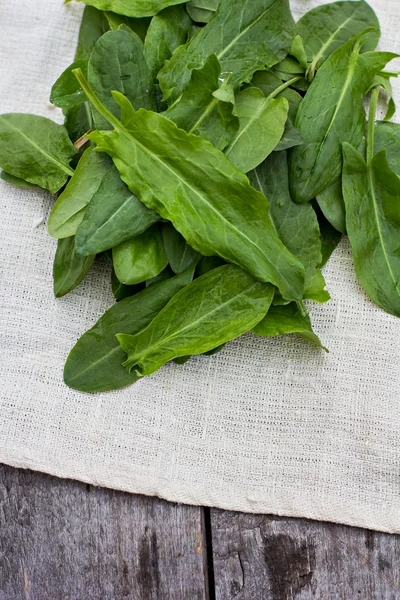 Sorrel leaves  on the old boards — Stock Photo, Image
