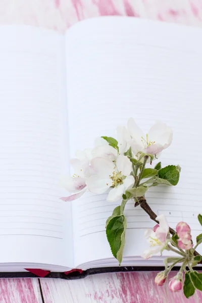 ノートブックと開花のリンゴの木の根元 — ストック写真
