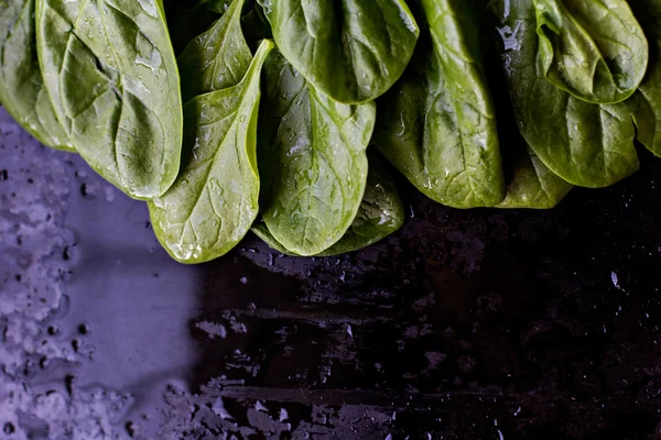 Espinacas frescas — Foto de Stock