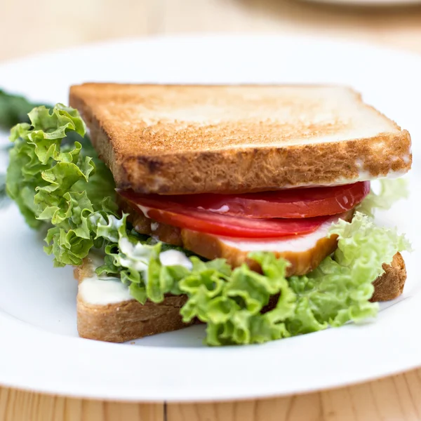 Sandwich — Stock Photo, Image