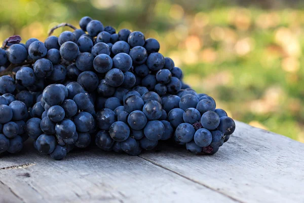Des grappes de raisins noirs sur une table en bois — Photo