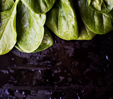 taze yeşil ıspanak