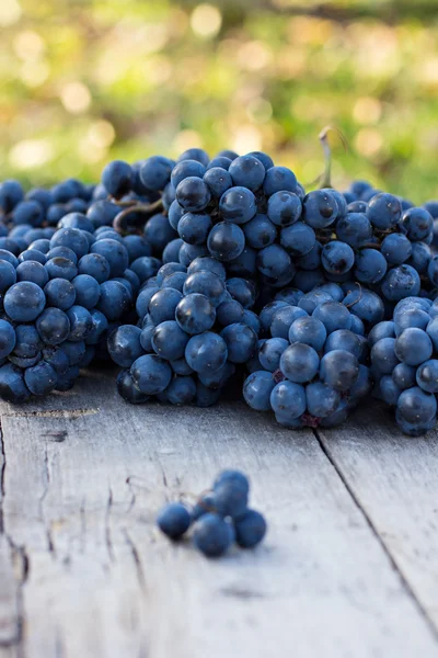 Горсть темного винограда — стоковое фото