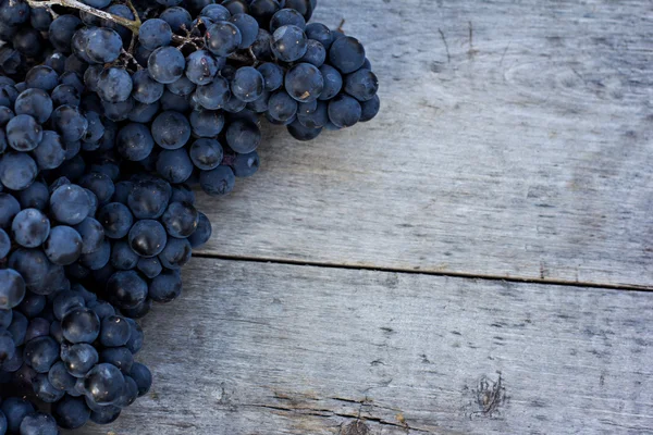Горсть темного винограда — стоковое фото
